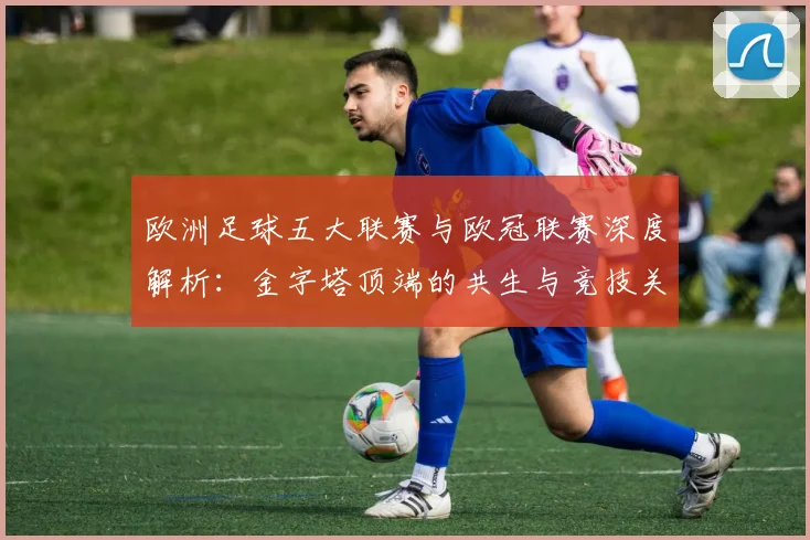 欧洲足球五大联赛与欧冠联赛深度解析：金字塔顶端的共生与竞技关系
