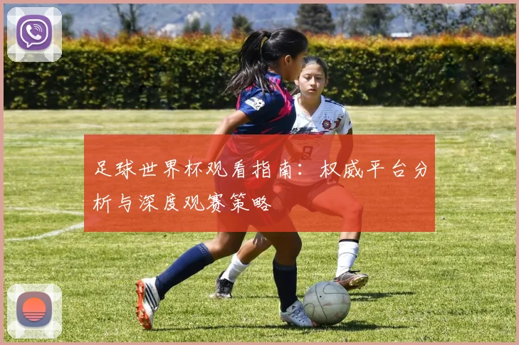 足球世界杯观看指南：权威平台分析与深度观赛策略